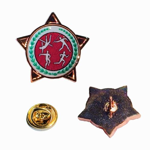 superior bronze star badge